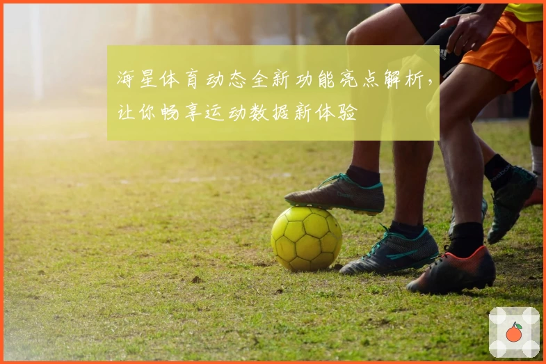 海星体育动态全新功能亮点解析，让你畅享运动数据新体验