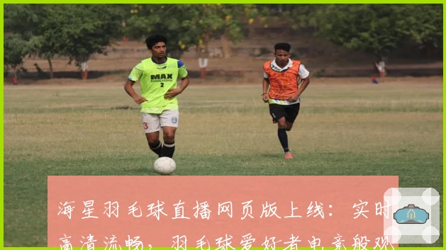 海星羽毛球直播网页版上线：实时高清流畅，羽毛球爱好者电竞般观赛体验