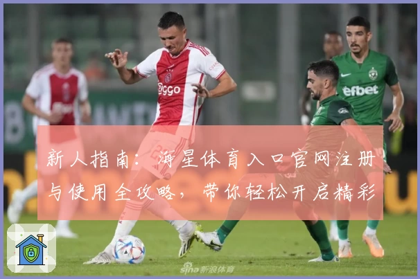新人指南：海星体育入口官网注册与使用全攻略，带你轻松开启精彩运动生活
