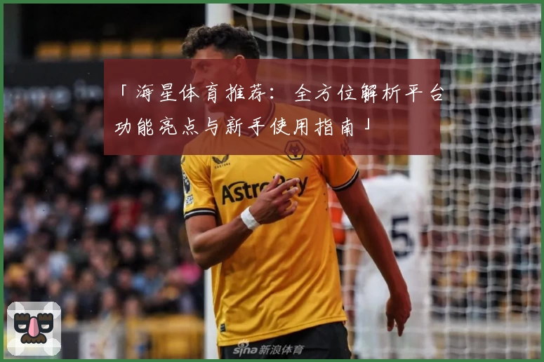「海星体育推荐：全方位解析平台功能亮点与新手使用指南」