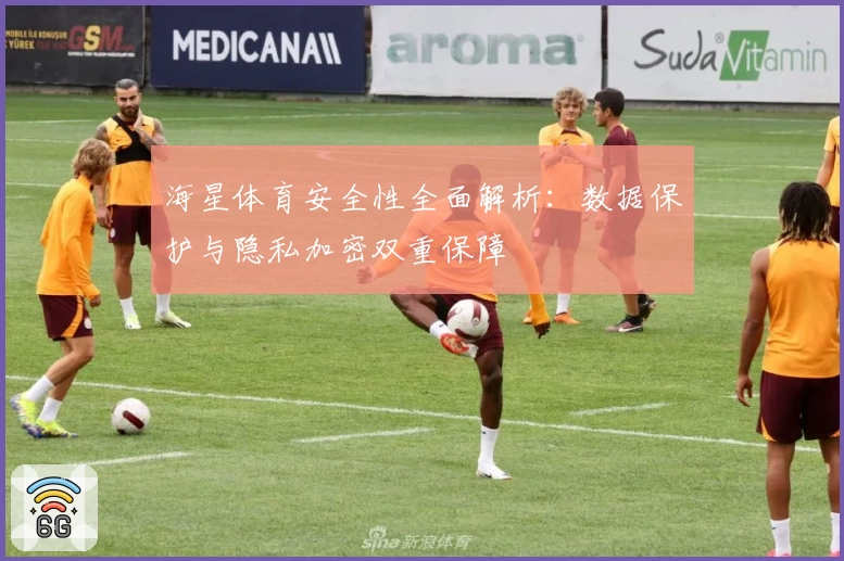 海星体育安全性全面解析：数据保护与隐私加密双重保障